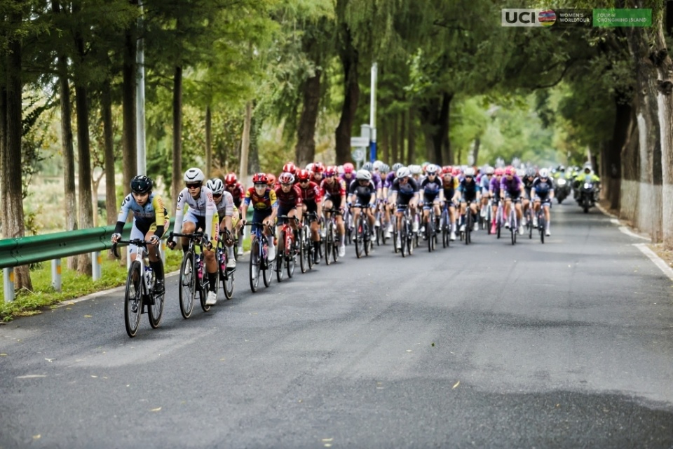 她不仅以 她不仅以